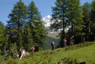 4^ Cammina e Gusta...la Valtellina a S.Caterina